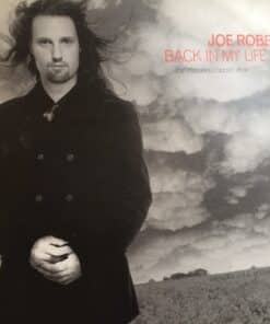Back In My Life - Joe Roberts / David Morales