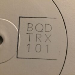 BQDTRX101 - Christopher Ledger, Dana Ruh