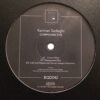 Compound Eye - Kamran Sadeghi
