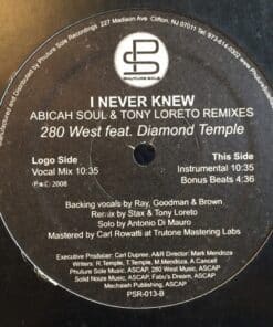 I Never Knew (Abicah Soul & Tony Loreto Remixes) - 280 West