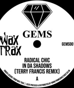 In Da Shadows - Radical Chic / Terry Francis