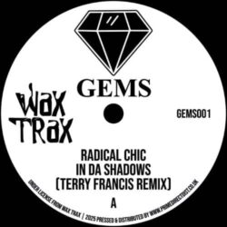 In Da Shadows - Radical Chic / Terry Francis