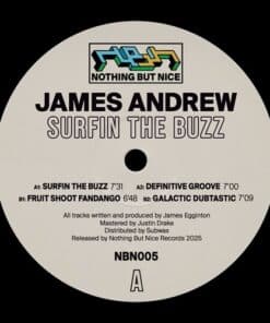 Surfin The Buzz  - James Andrew