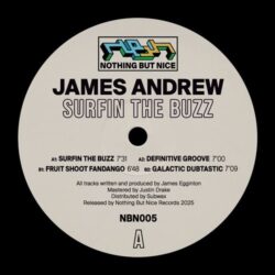 Surfin The Buzz  - James Andrew