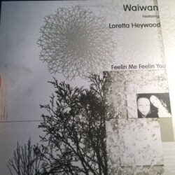 Feelin Me Feelin You - Waiwan
