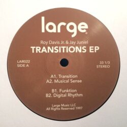 Transitions - Roy Davis Junior