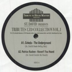 Tributes Ltd Collection Vol 1 - St. David