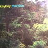 Viva Blue - Keyboy