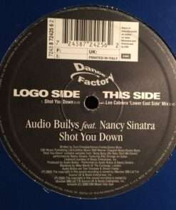 Shot You Down - Audio Bullys