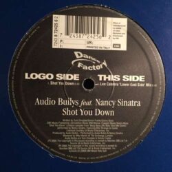 Shot You Down - Audio Bullys